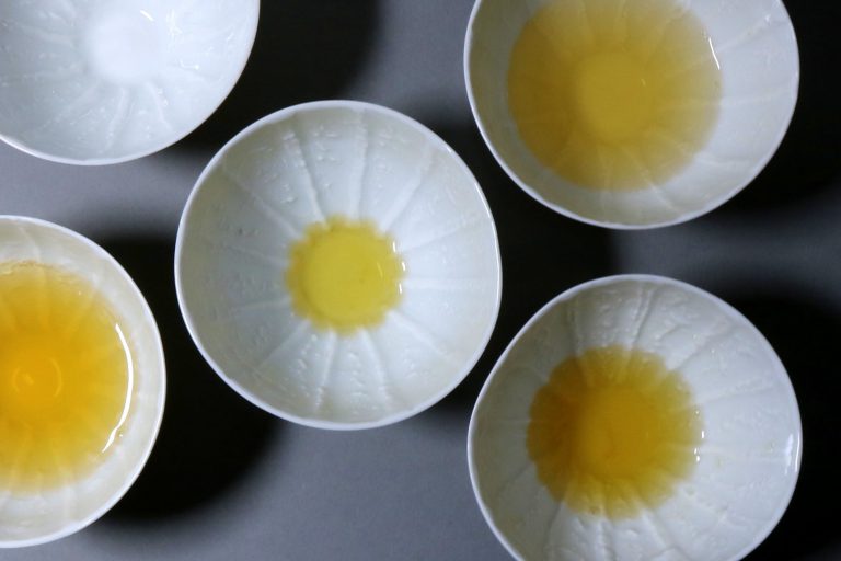 Porzellan Teeschalen Morning Blossom